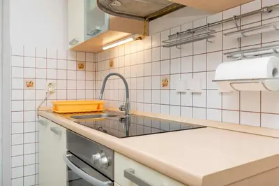 Kuhinja ili čajna kuhinja u objektu House Frane