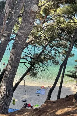 Priroda u blizini apartmana
