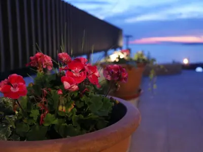 Tlocrt objekta Apartment Strandnahe Ferienwohnung in Podstrana by Interhome