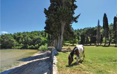 Priroda u blizini apartmana