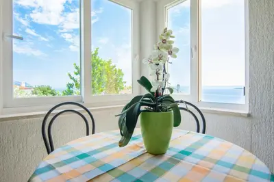 Priroda u blizini apartmana