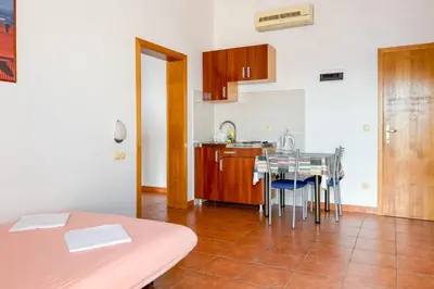 Kuhinja ili čajna kuhinja u objektu apartments villa BORJE by GLOBTOUR