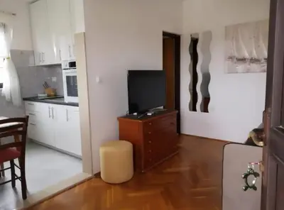 Kuhinja ili čajna kuhinja u objektu Apartments Nataša