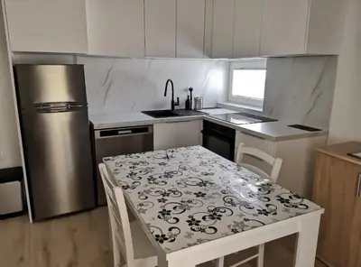 Kuhinja ili čajna kuhinja u objektu Apartments Nataša