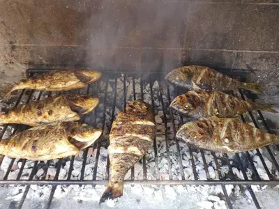 Oprema za roštilj dostupna gostima apartmana
