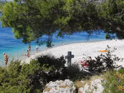 Priroda u blizini apartmana