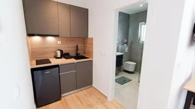 Kuhinja ili čajna kuhinja u objektu Apartmani Zoran 2