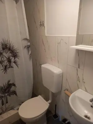 Kupaonica u objektu Apartmani Antonio Basina