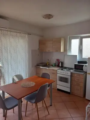 Kuhinja ili čajna kuhinja u objektu Apartmani Antonio Basina