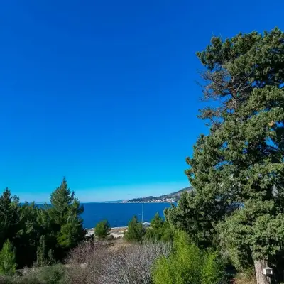 Apartments Pine and Sea