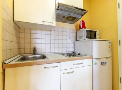 Kuhinja ili čajna kuhinja u objektu Apartments Radevenjić