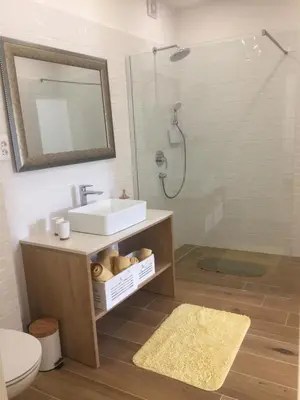 Kupaonica u objektu Apartments Antonia