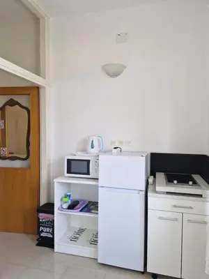 Kuhinja ili čajna kuhinja u objektu Apartman vanja