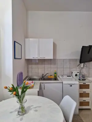 Kuhinja ili čajna kuhinja u objektu Apartman vanja