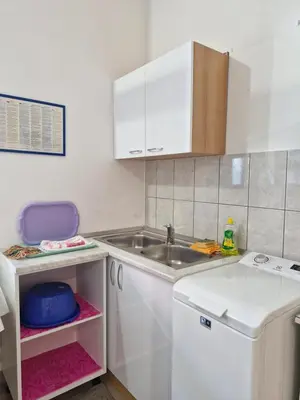 Kuhinja ili čajna kuhinja u objektu Apartman vanja