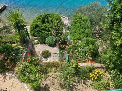 Priroda u blizini apartmana