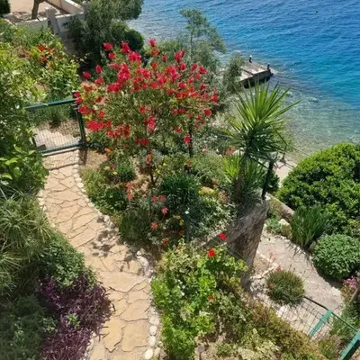 Apartment Garden by the Sea