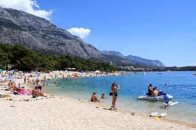 Priroda u blizini apartmana