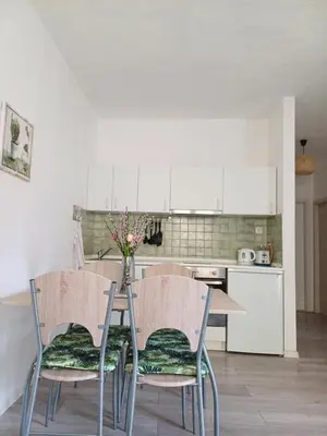 Kuhinja ili čajna kuhinja u objektu Apartments Sun&Sea