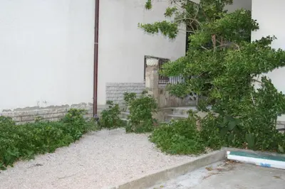 Vrt u objektu Apartment Stanici 1032a