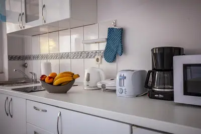 Kuhinja ili čajna kuhinja u objektu Apartments Ana Buratovic