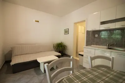 Kuhinja ili čajna kuhinja u objektu Apartments Radić