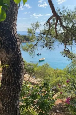 Priroda u blizini apartmana