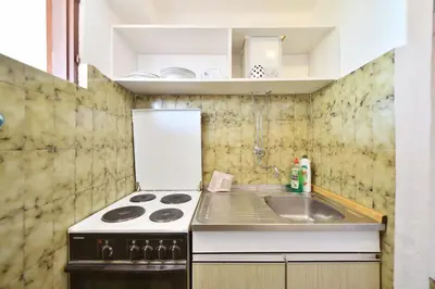 Kuhinja ili čajna kuhinja u objektu Apartments Goran