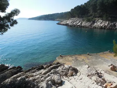 Priroda u blizini apartmana