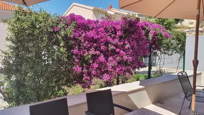 Vrt u objektu Apartment Agapanthus