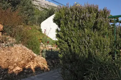 Vrt u objektu Apartments with parking space Pisak, Omis - 5154