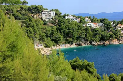 Priroda u blizini apartmana