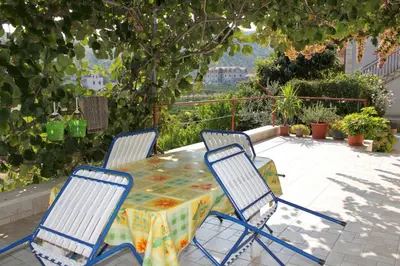 Priroda u blizini apartmana