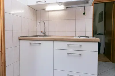 Kuhinja ili čajna kuhinja u objektu Apartment Pisak 5975d