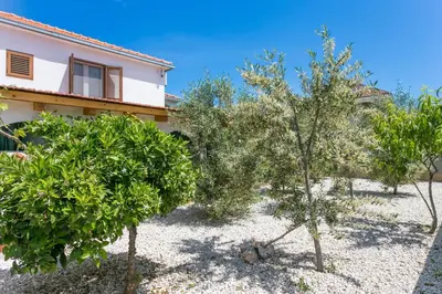 Vrt u objektu Apartments with parking space Mirca, Brac - 729