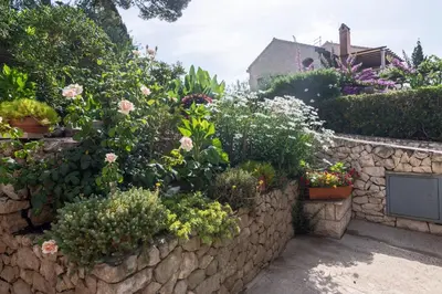 Vrt u objektu Apartments by the sea Sumartin, Brac - 758