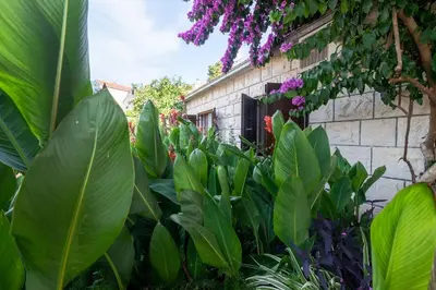 Vrt u objektu Apartments by the sea Sumartin, Brac - 758
