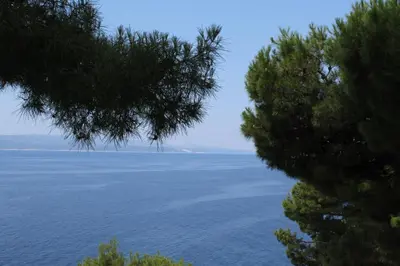 Tlocrt objekta Apartments by the sea Brela, Makarska - 6674