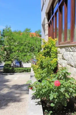 Vrt u objektu Apartments with parking space Baska Voda, Makarska - 6773