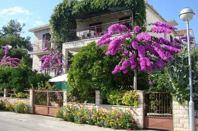 Tlocrt objekta Apartments with a parking space Stari Grad, Hvar - 8686