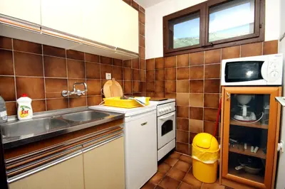 Kuhinja ili čajna kuhinja u objektu Apartments by the sea Zavala, Hvar - 594