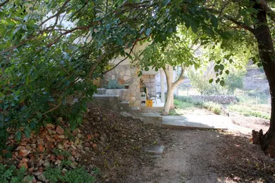 Vrt u objektu Apartments by the sea Basina, Hvar - 9673