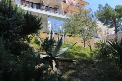 Vrt u objektu Apartments by the sea Brela, Makarska - 2718