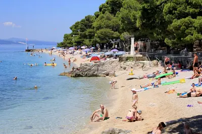 Priroda u blizini privatnih smještaja