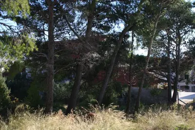 Priroda u blizini apartmana