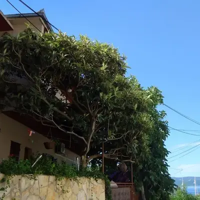 Apartments and rooms by the sea Sumpetar