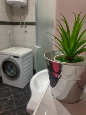 Kupaonica u objektu Apartment Baćo