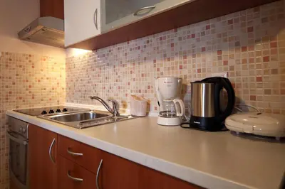 Kuhinja ili čajna kuhinja u objektu Apartments Ivana