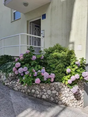 Vrt u objektu Apartments Ivana