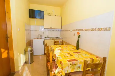 Kuhinja ili čajna kuhinja u objektu Apartments with parking space Baska Voda, Makarska - 6761